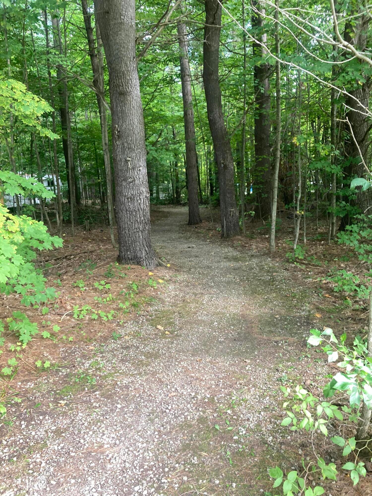 Parcel E Sherman Road Frederic, MI 49733 - Photo 17 of 53 Gallery Image 17