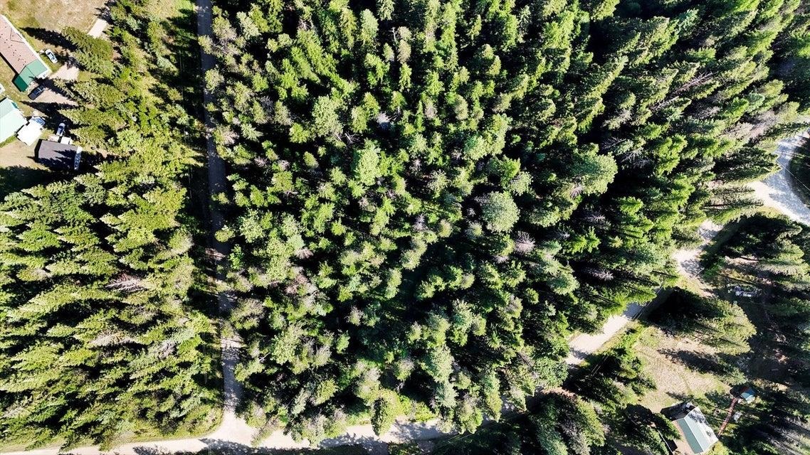 238 Rustic Road Cusick, WA 99119 - Photo 7 of 13