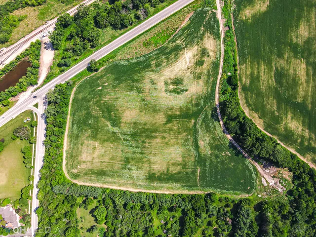 a view of a yard with plants