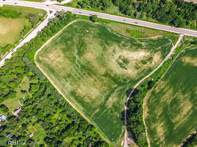 a view of a big yard with plants and large trees