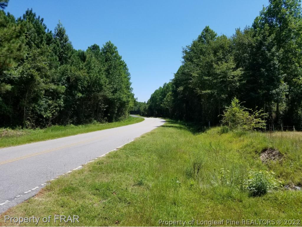 6240 Kennel Road Wade, NC 28395 - Photo 3 of 4 a view of green field with trees