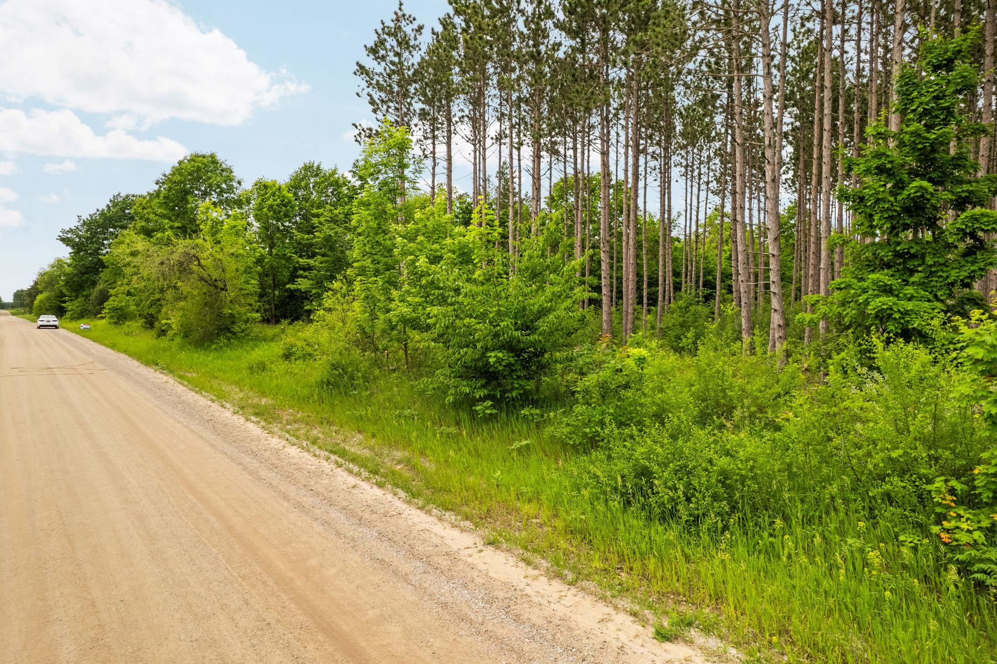 Parcel E St Johns Road Interlochen, MI 49643 - Photo 9 of 39