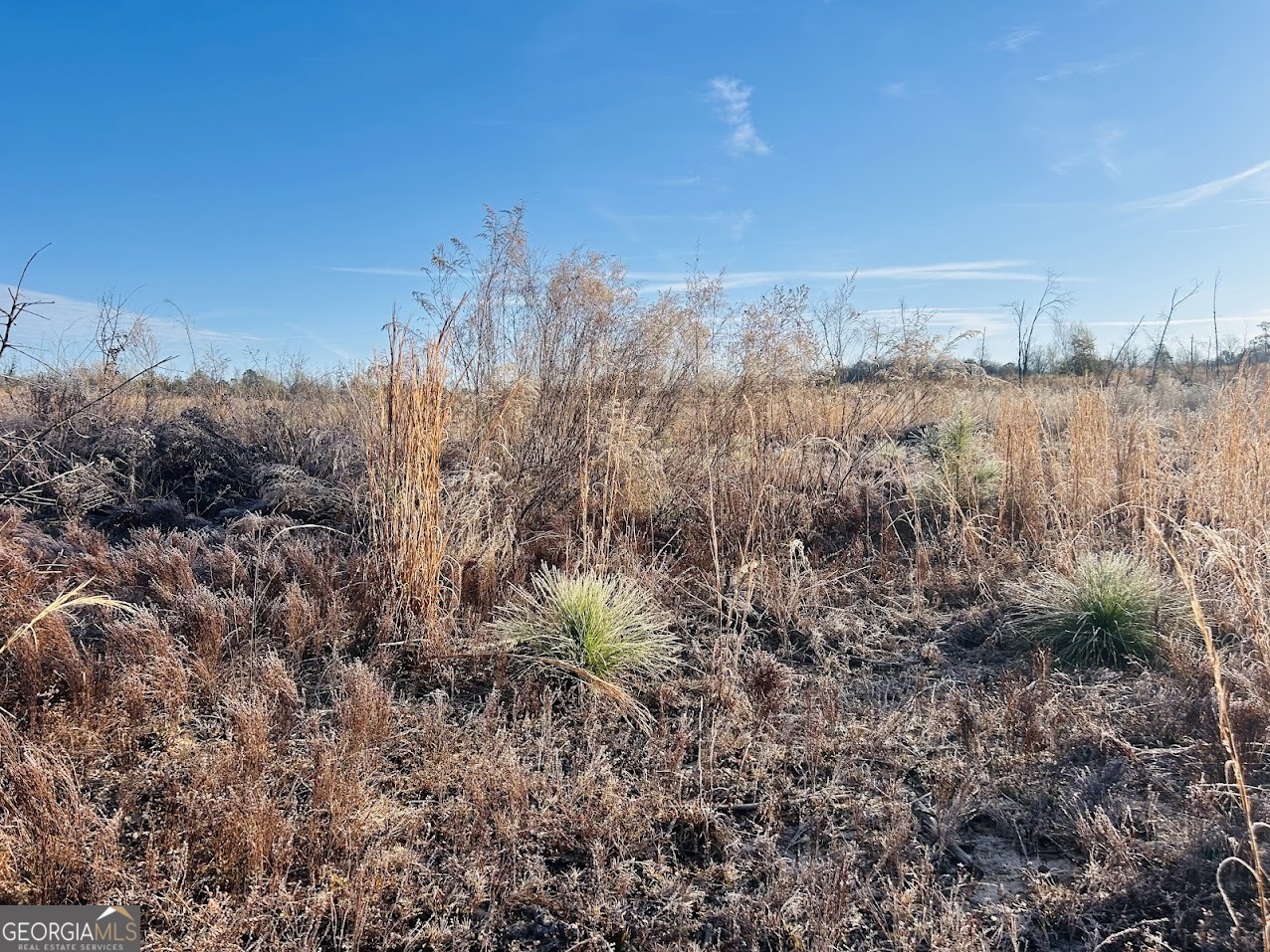 0 Bickley Road, Unit TRACT A Butler, GA 31006 - Photo 11 of 47 a view of a lake with a city