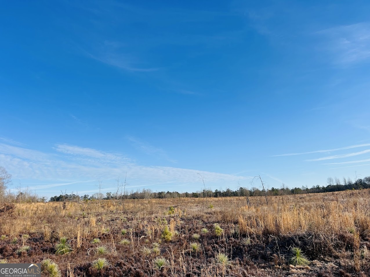 0 Bickley Road, Unit TRACT A Butler, GA 31006 - Photo 13 of 47 a view of lake and mountain
