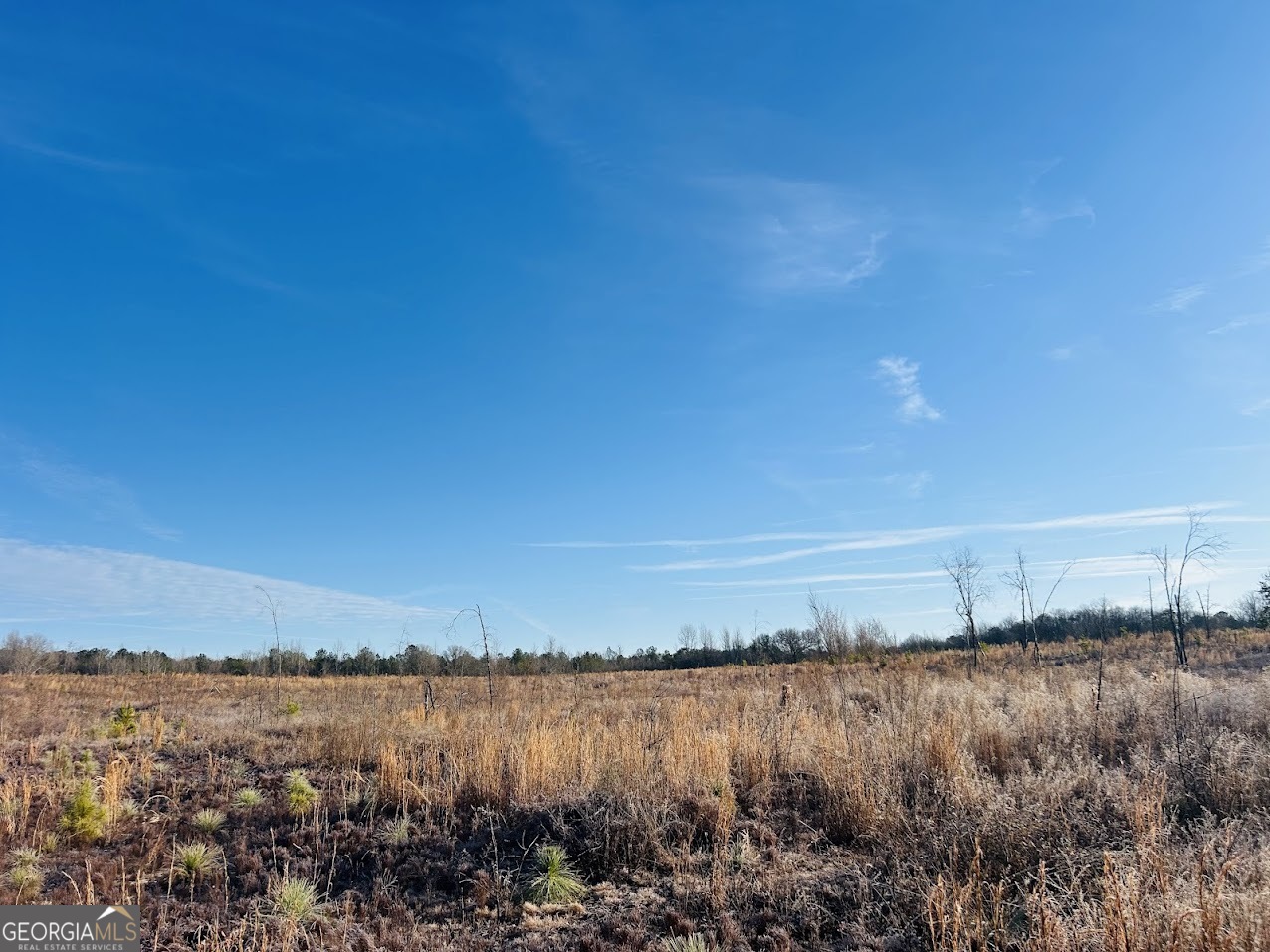 0 Bickley Road, Unit TRACT A Butler, GA 31006 - Photo 14 of 47 a view of mountain with lake view