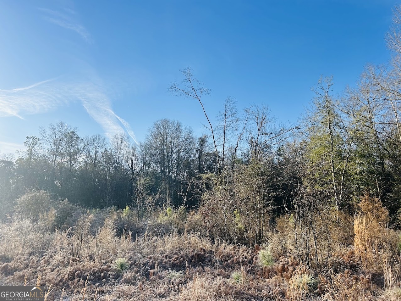 0 Bickley Road, Unit TRACT A Butler, GA 31006 - Photo 15 of 47 a view of a lake in between two of trees