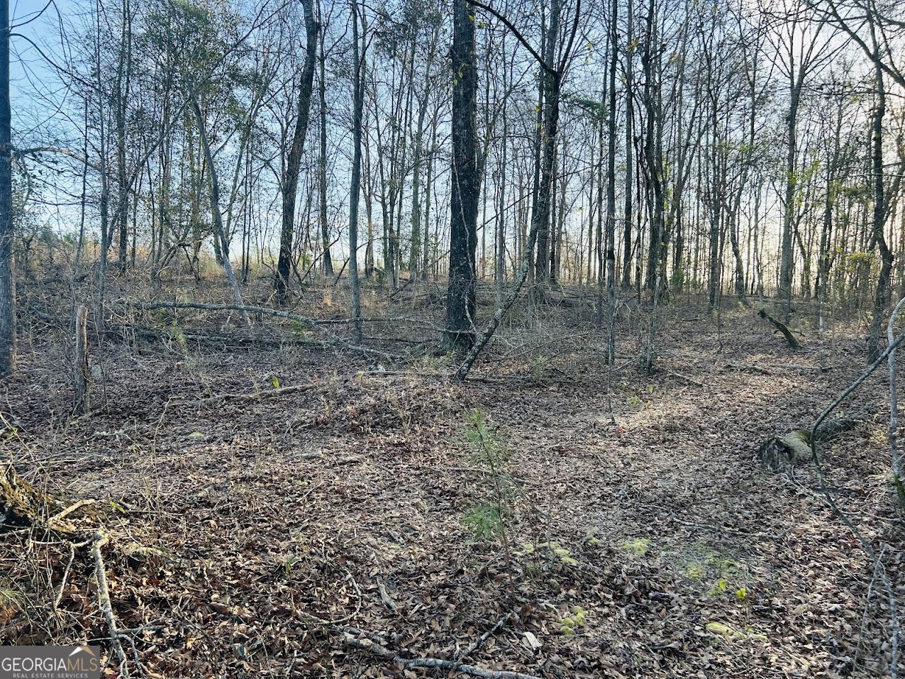 0 Bickley Road, Unit TRACT A Butler, GA 31006 - Photo 16 of 47 a view of outdoor space with large trees