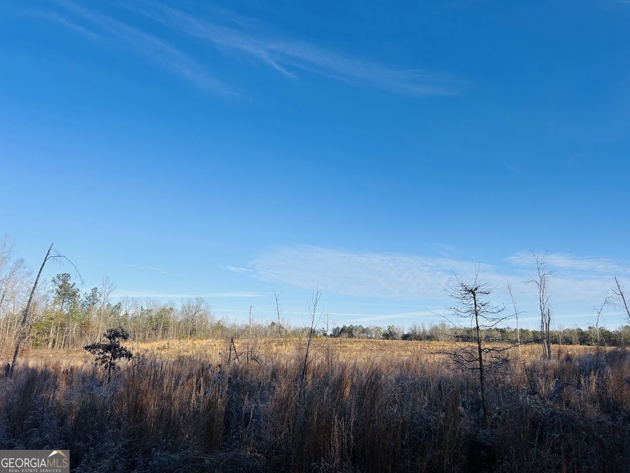 0 Bickley Road, Unit TRACT A Butler, GA 31006 - Photo 17 of 47 a view of a lake