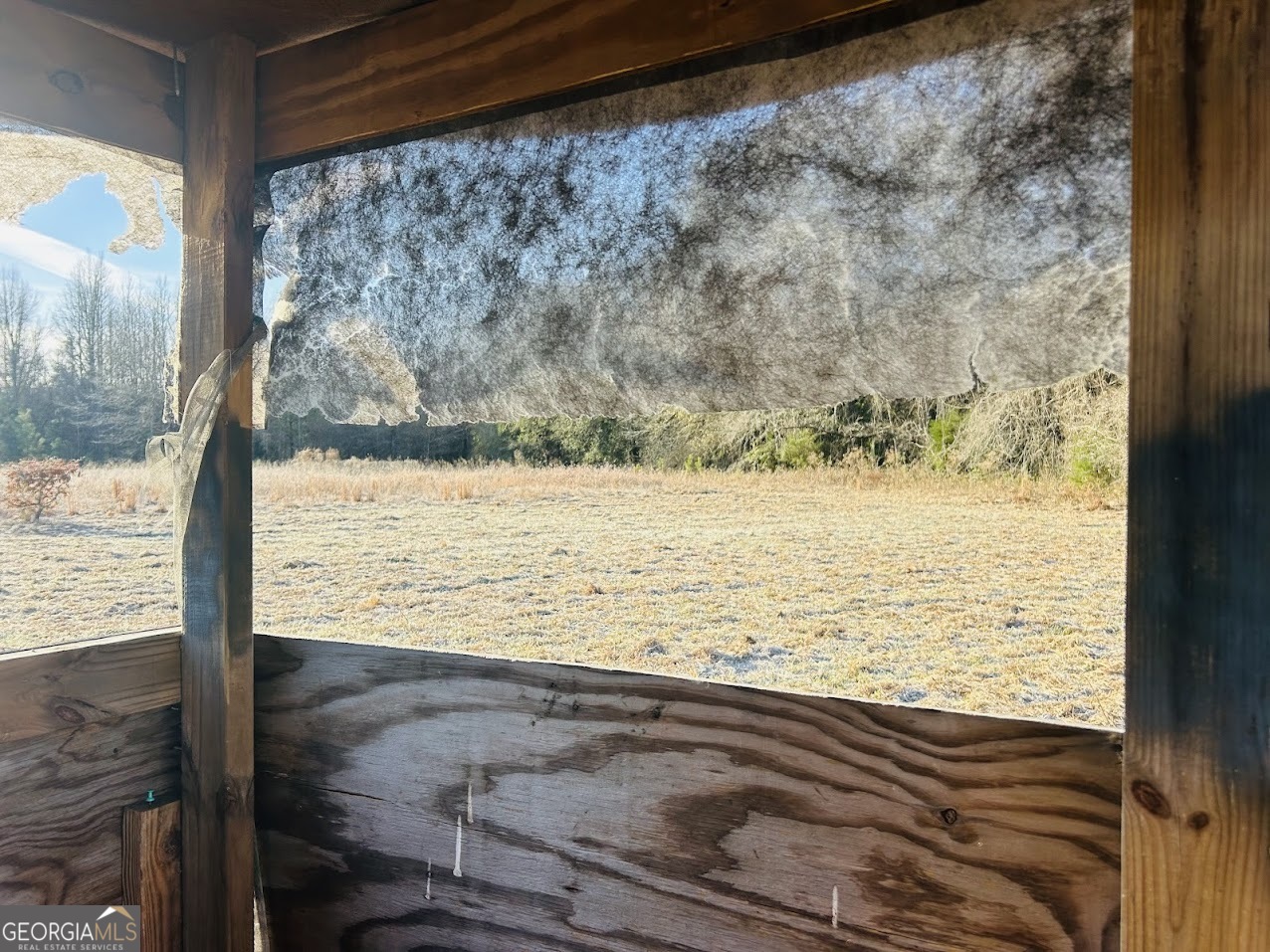 0 Bickley Road, Unit TRACT A Butler, GA 31006 - Photo 19 of 47