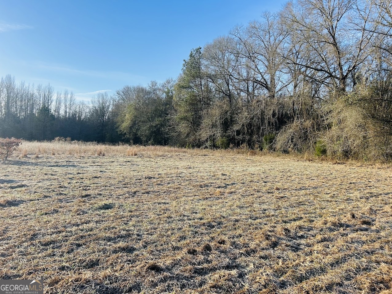 0 Bickley Road, Unit TRACT A Butler, GA 31006 - Photo 20 of 47 a view of a yard