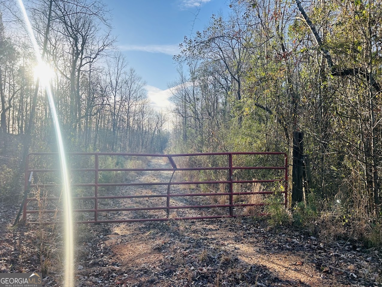 0 Bickley Road, Unit TRACT A Butler, GA 31006 - Photo 2 of 47 a view of outdoor space