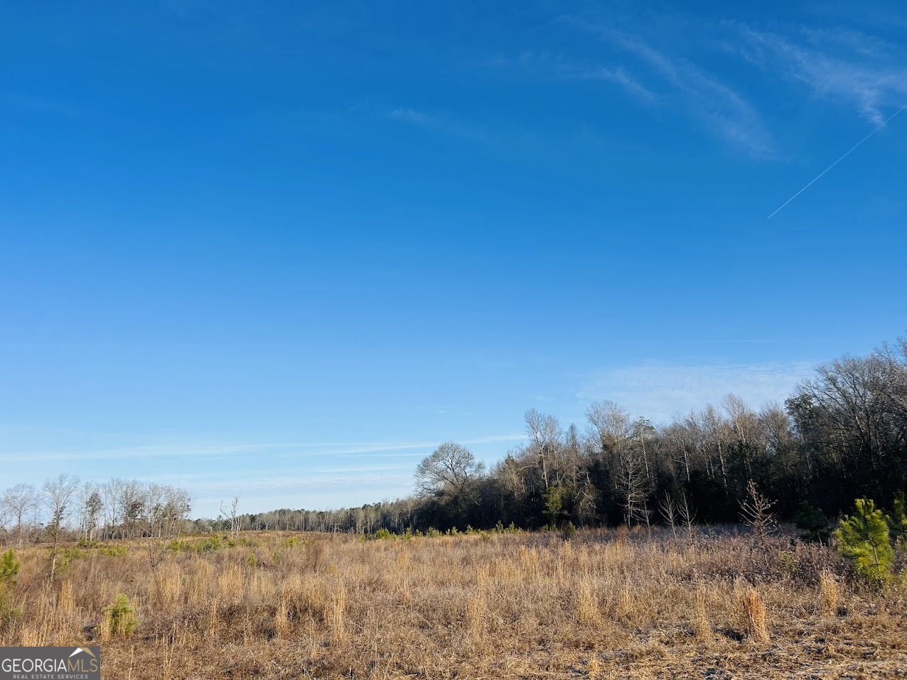 0 Bickley Road, Unit TRACT A Butler, GA 31006 - Photo 21 of 47 a view of mountain with lake view