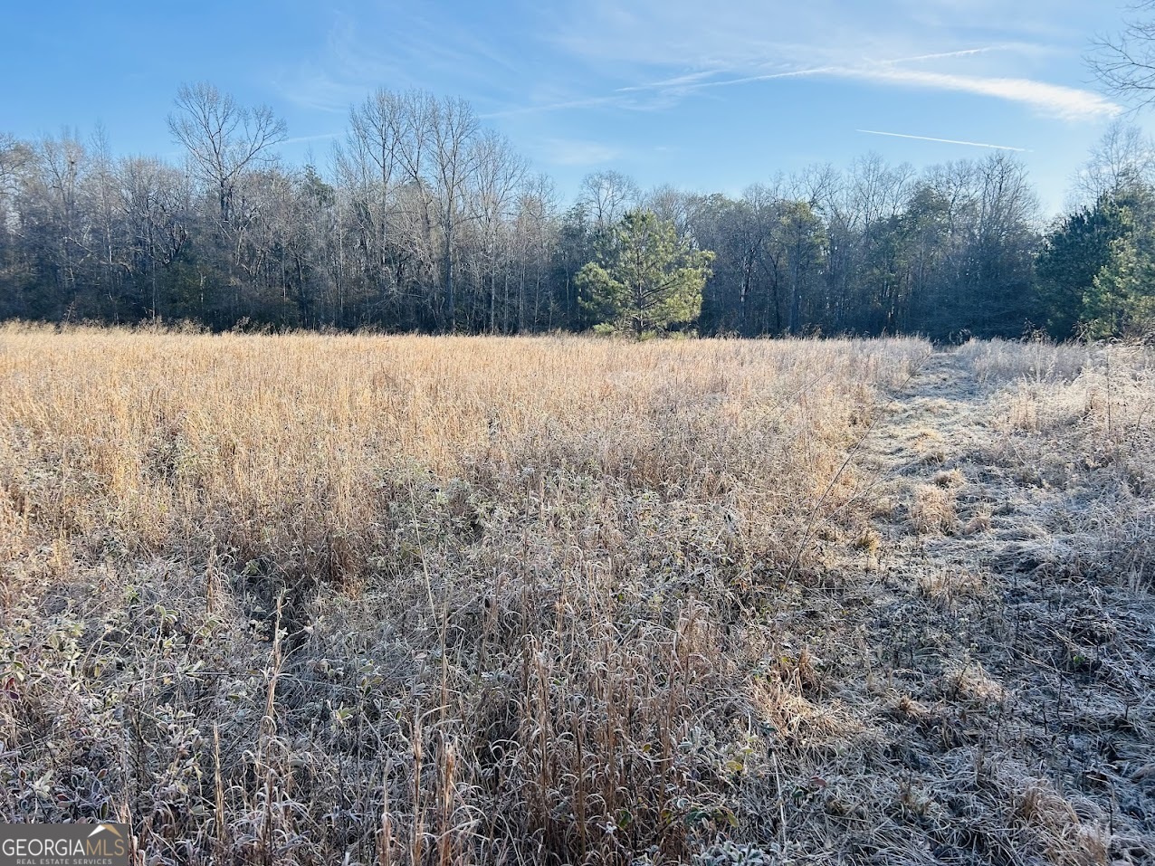 0 Bickley Road, Unit TRACT A Butler, GA 31006 - Photo 24 of 47 a view of covered with snow