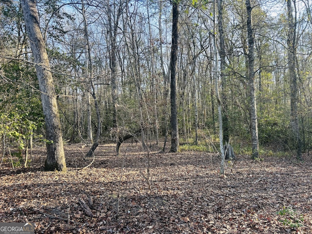 0 Bickley Road, Unit TRACT A Butler, GA 31006 - Photo 26 of 47 a backyard of a house with lots of green space