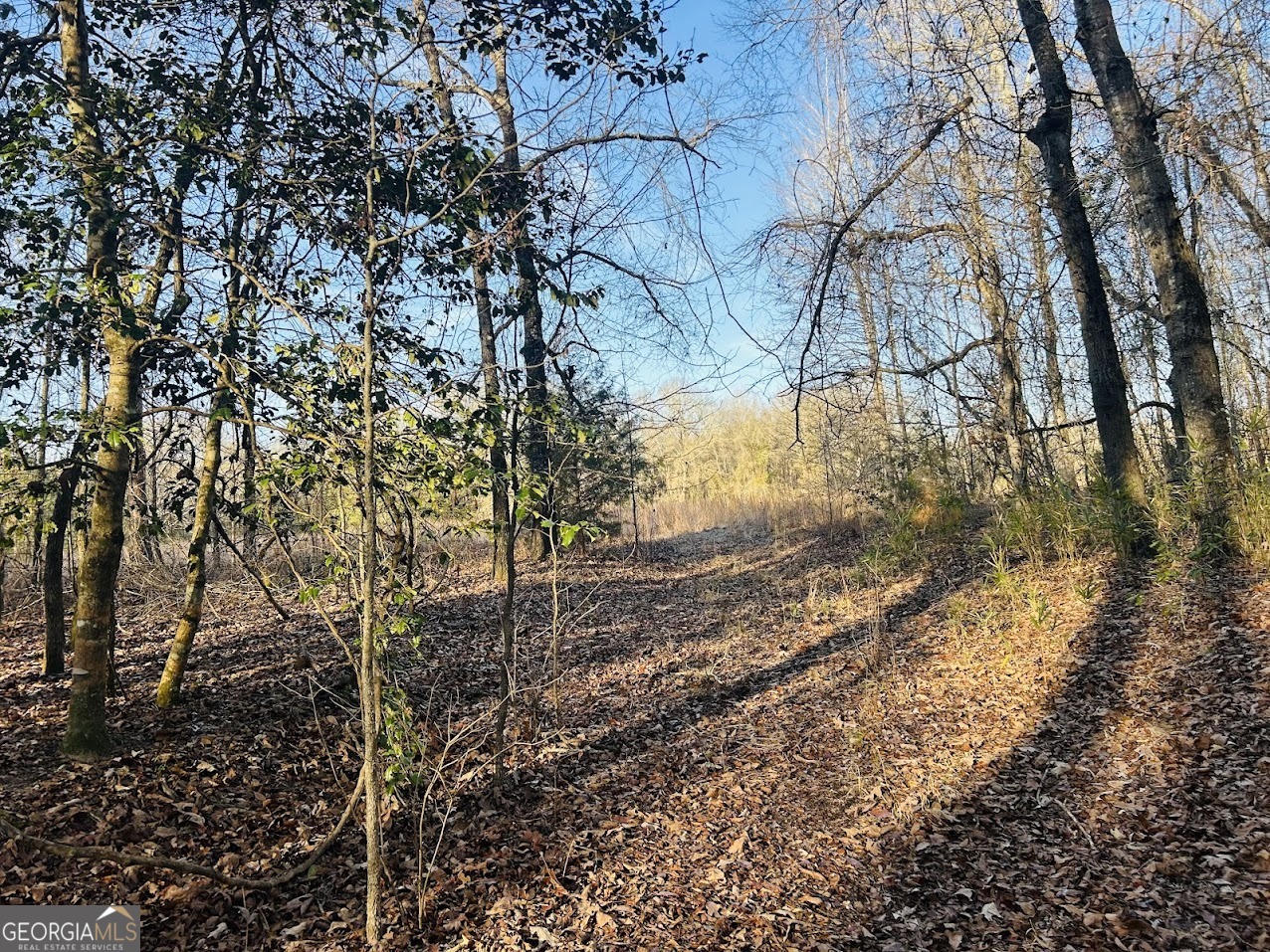 0 Bickley Road, Unit TRACT A Butler, GA 31006 - Photo 27 of 47 a view of a yard with a tree