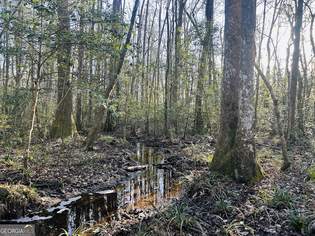 0 Bickley Road, Unit TRACT A Butler, GA 31006 - Photo 29 of 47 a view of forest