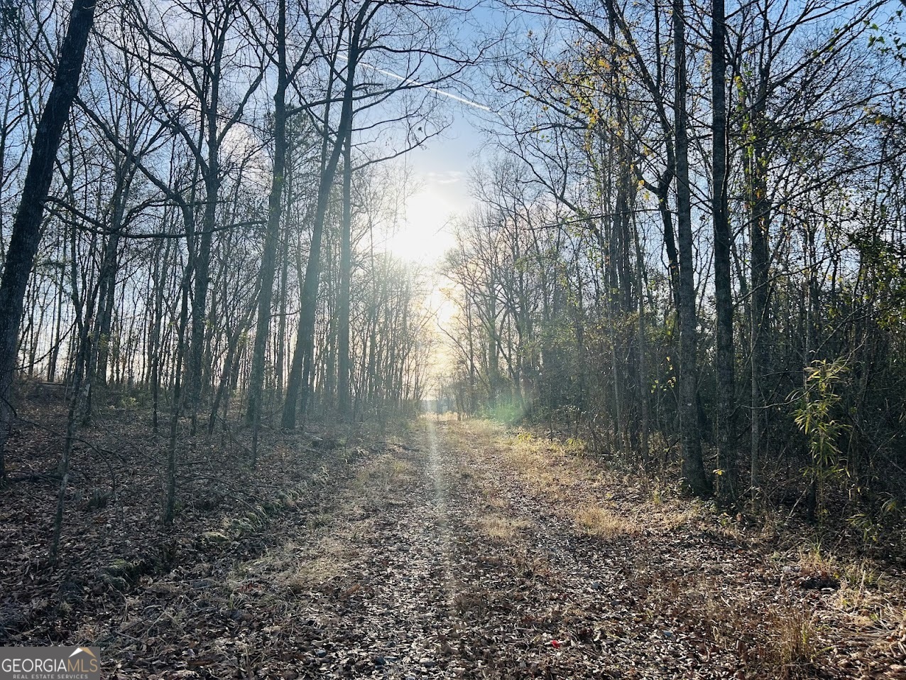 0 Bickley Road, Unit TRACT A Butler, GA 31006 - Photo 3 of 47 a backyard of a house with lots of green space
