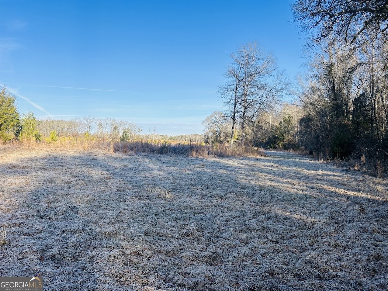 0 Bickley Road, Unit TRACT A Butler, GA 31006 - Photo 31 of 47 a view of dirt field with large trees