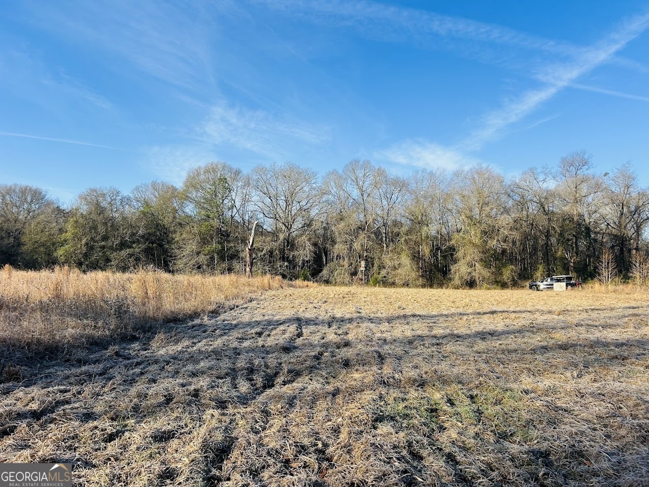0 Bickley Road, Unit TRACT A Butler, GA 31006 - Photo 32 of 47 a view of beach and ocean