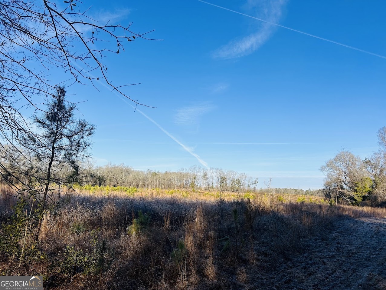 0 Bickley Road, Unit TRACT A Butler, GA 31006 - Photo 33 of 47 a view of a lake