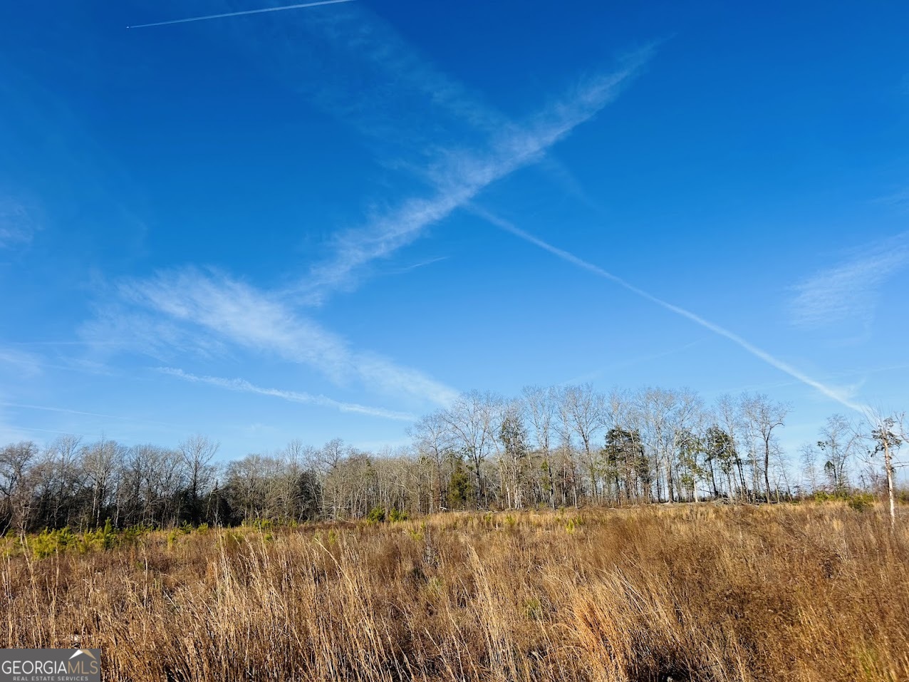 0 Bickley Road, Unit TRACT A Butler, GA 31006 - Photo 34 of 47 a view of lake and mountain