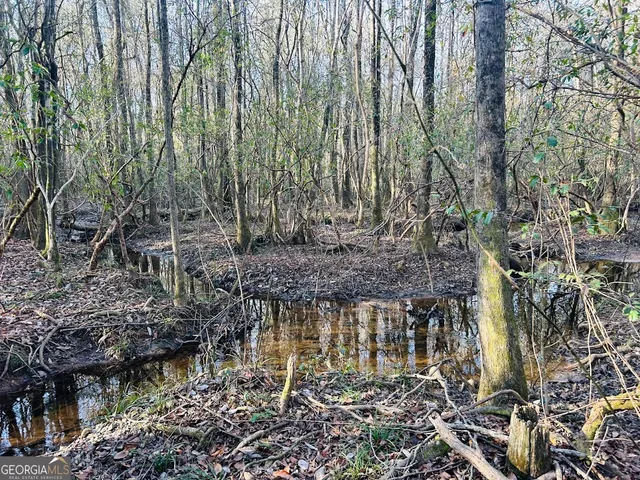 a view of lake and mountain