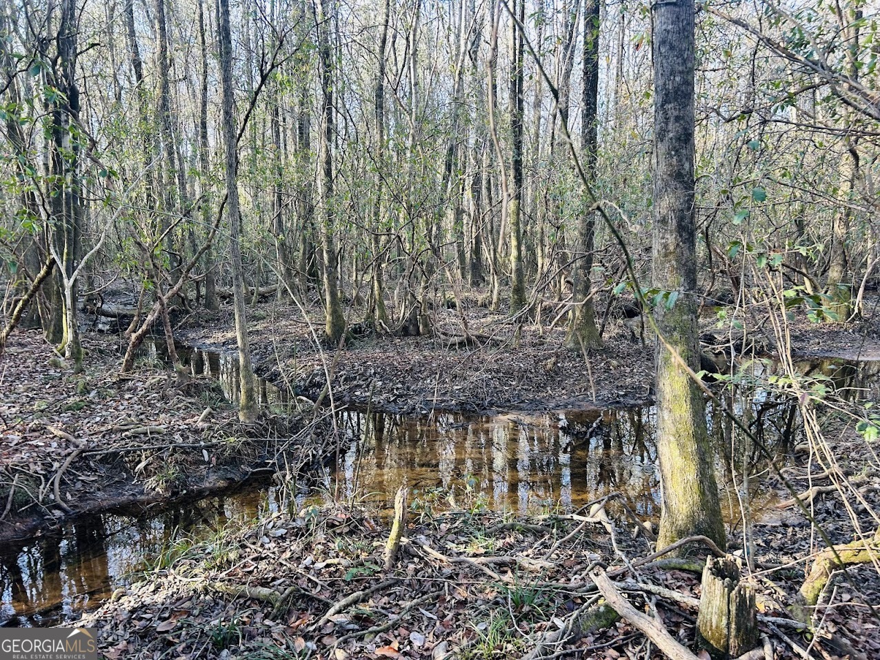 0 Bickley Road, Unit TRACT A Butler, GA 31006 - Photo 35 of 47 a backyard of a house with lots of green space