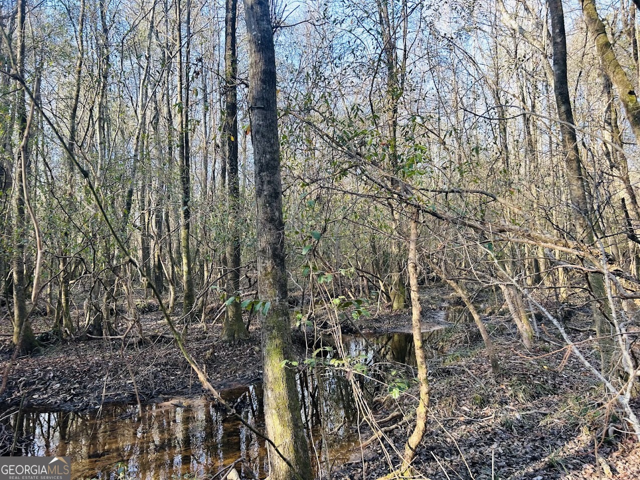 0 Bickley Road, Unit TRACT A Butler, GA 31006 - Photo 36 of 47 a view of a yard with plants and trees