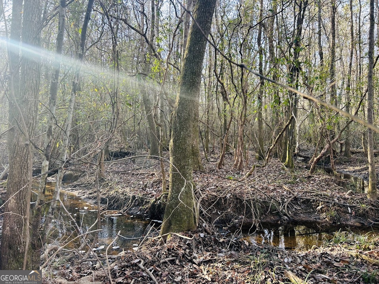 0 Bickley Road, Unit TRACT A Butler, GA 31006 - Photo 37 of 47 a view of a forest with a trees