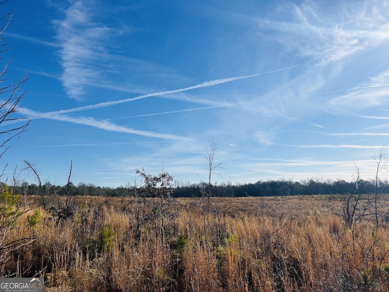 0 Bickley Road, Unit TRACT A Butler, GA 31006 - Photo 38 of 47 a view of lake