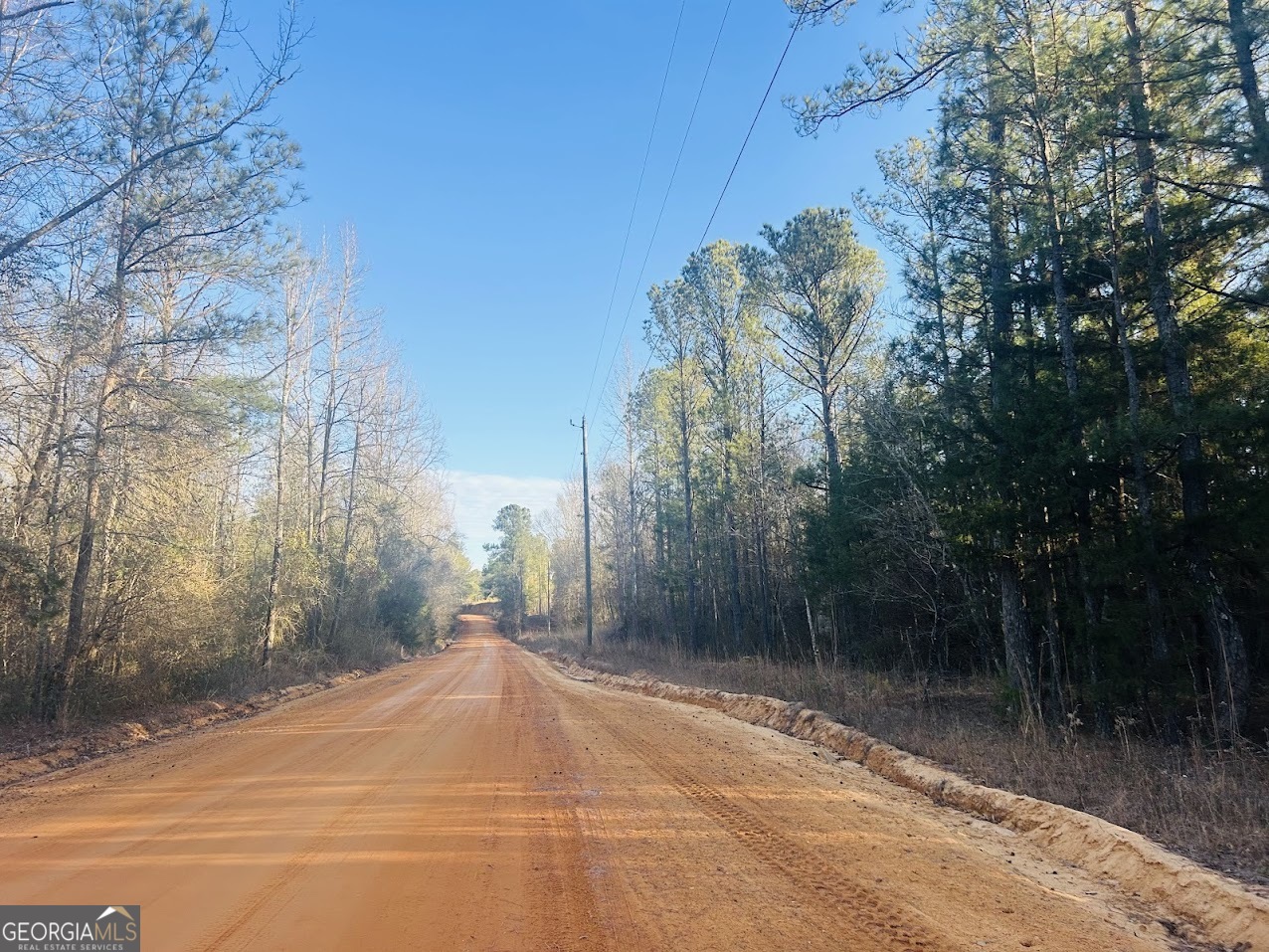 0 Bickley Road, Unit TRACT A Butler, GA 31006 - Photo 4 of 47 a view of a backyard of the house