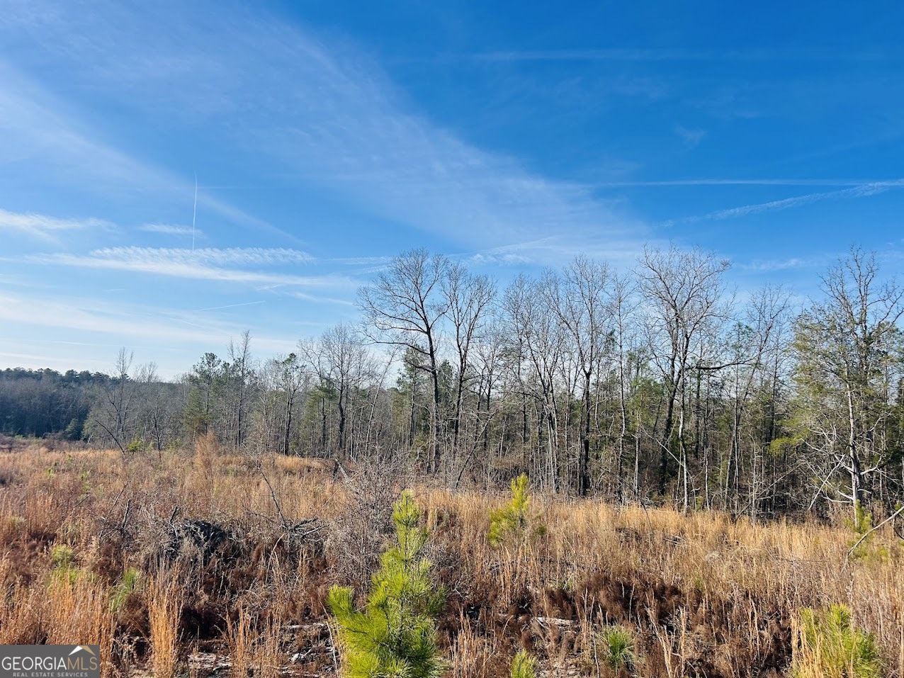 0 Bickley Road, Unit TRACT A Butler, GA 31006 - Photo 42 of 47 a view of a bunch of trees and bushes