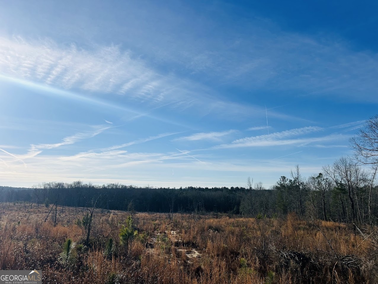 0 Bickley Road, Unit TRACT A Butler, GA 31006 - Photo 43 of 47 a view of mountain and lake