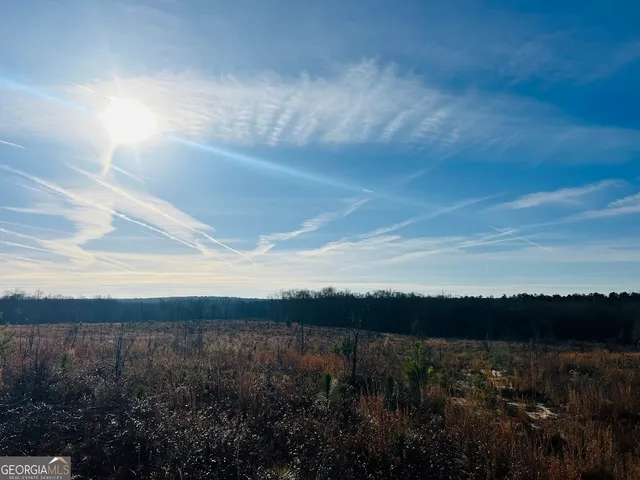 $726,138 | 0 Bickley Road, Unit TRACT A, Butler, GA 31006