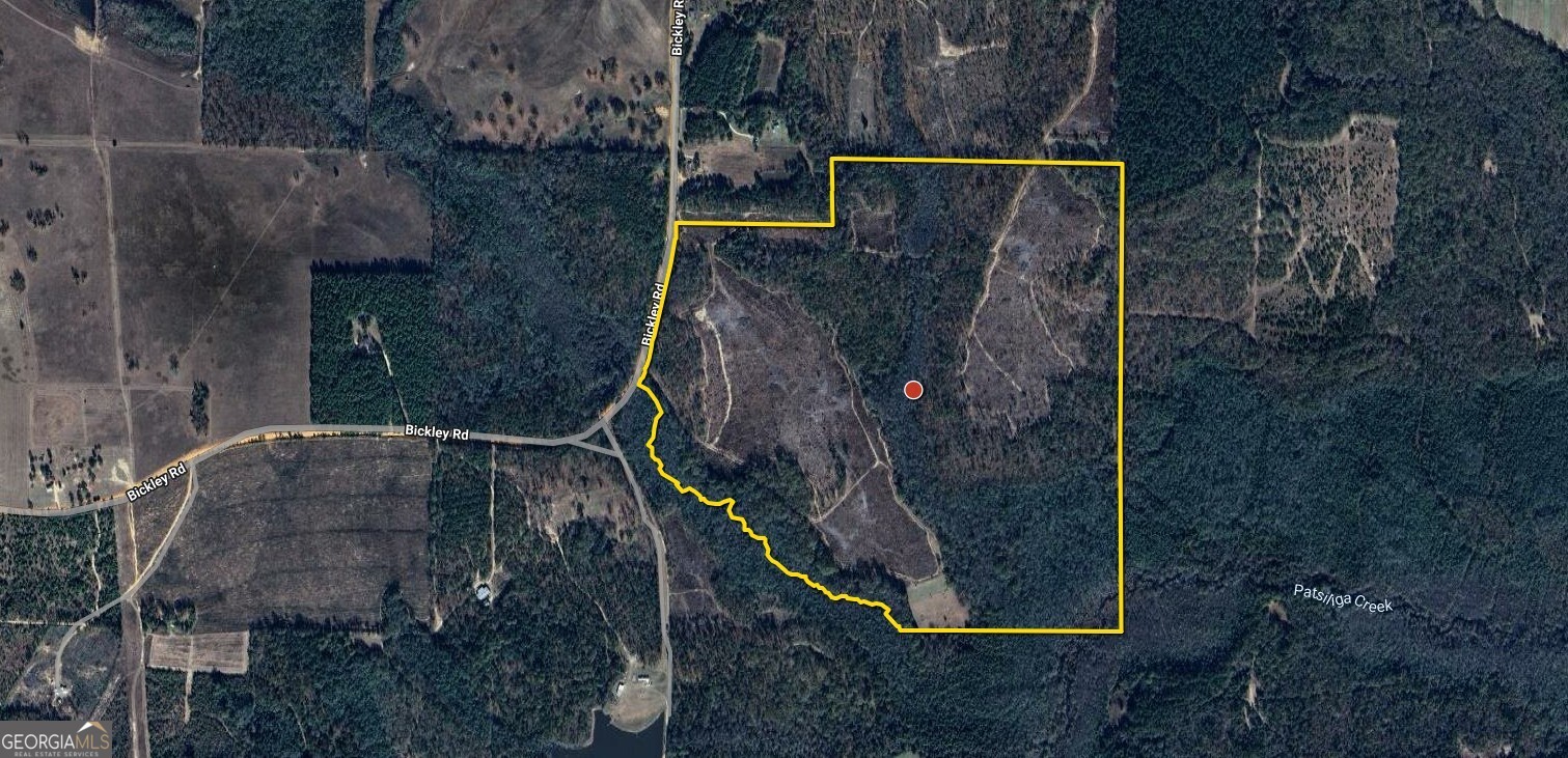 0 Bickley Road, Unit TRACT A Butler, GA 31006 - Photo 45 of 47