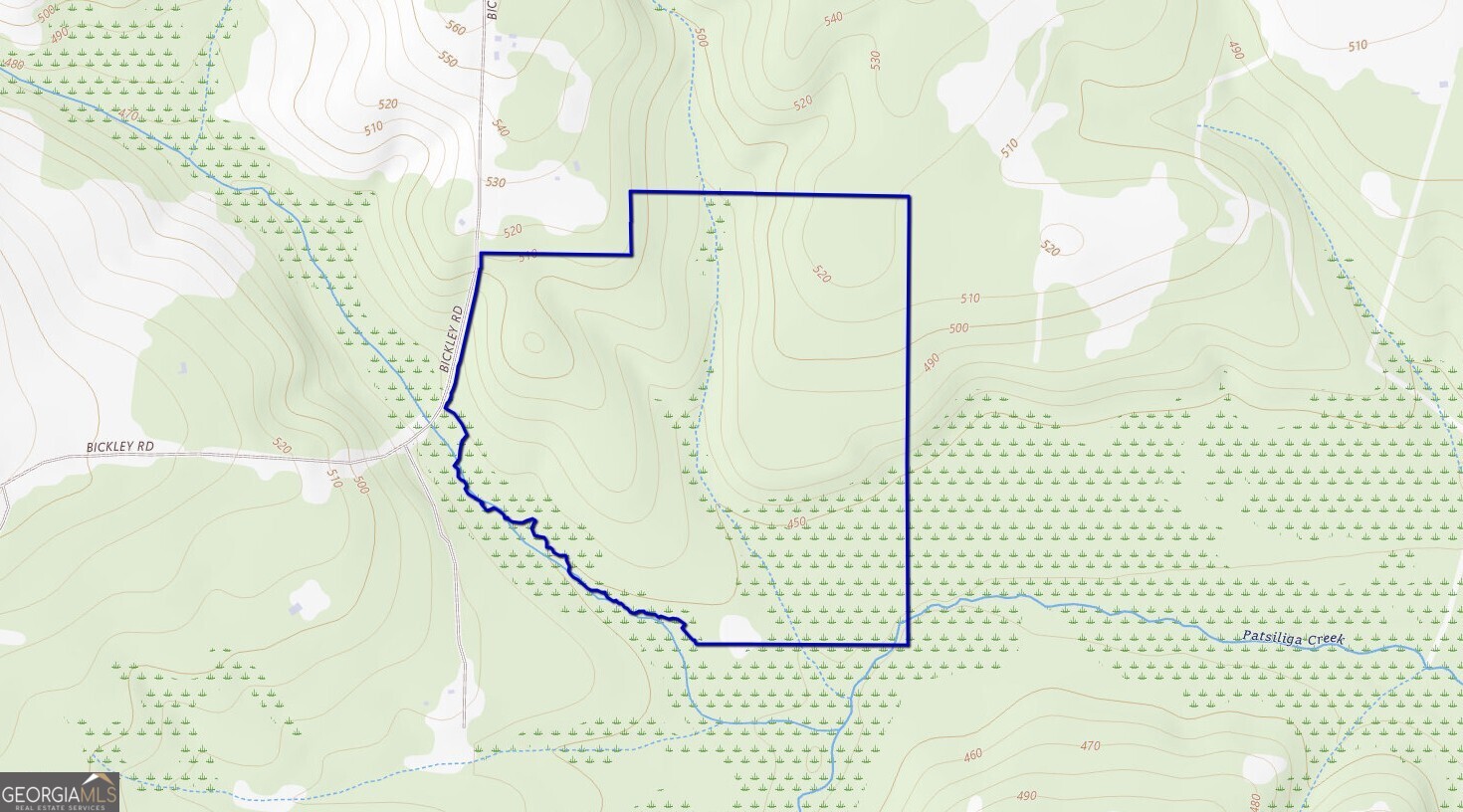 0 Bickley Road, Unit TRACT A Butler, GA 31006 - Photo 46 of 47 a bathroom with a shower