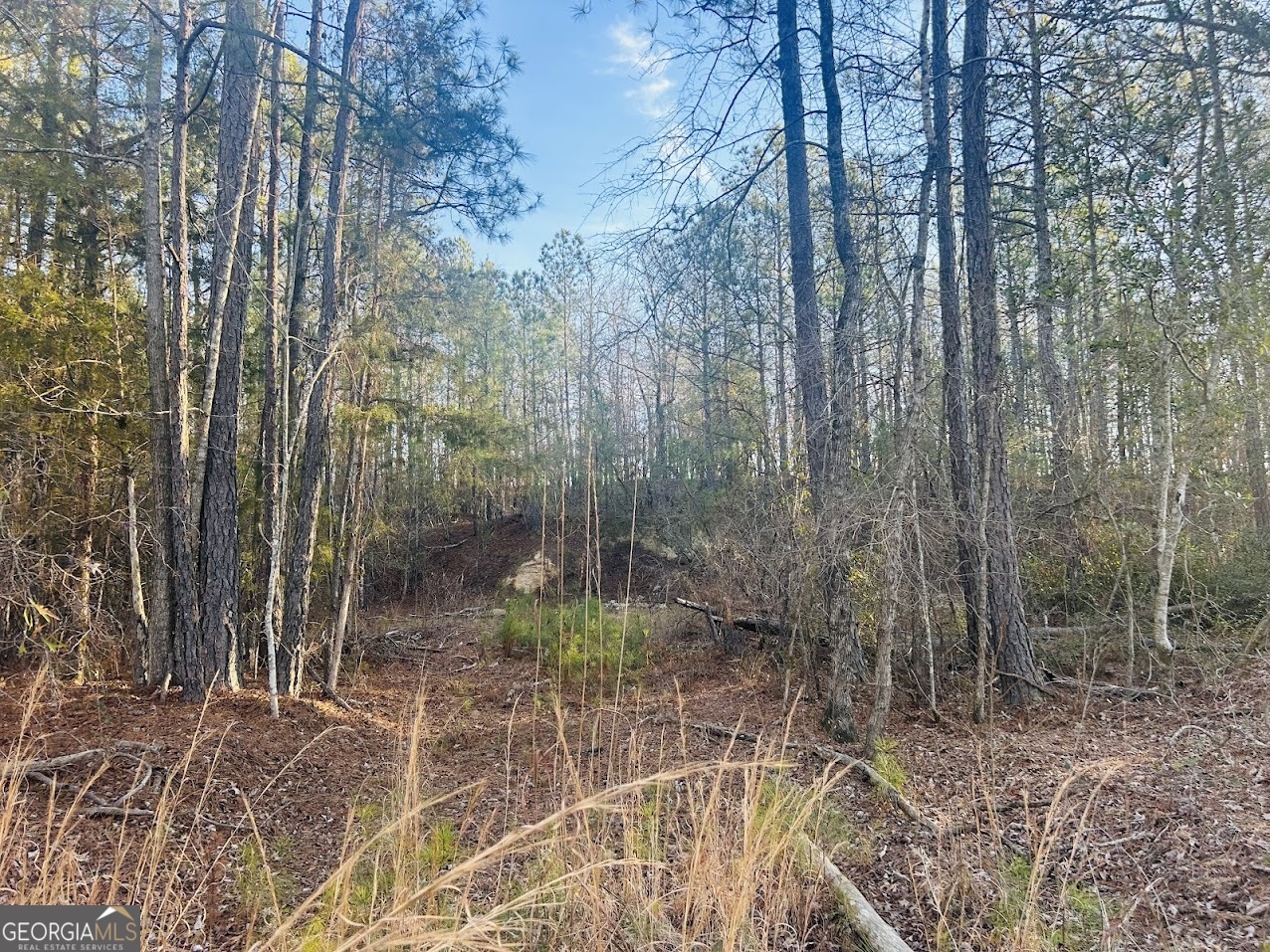 0 Bickley Road, Unit TRACT A Butler, GA 31006 - Photo 7 of 47 a view of a garden