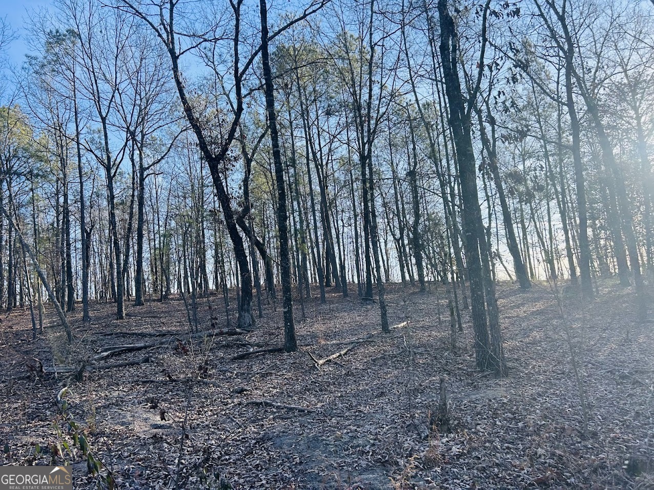 0 Bickley Road, Unit TRACT A Butler, GA 31006 - Photo 8 of 47 a backyard of a house with lots of green space