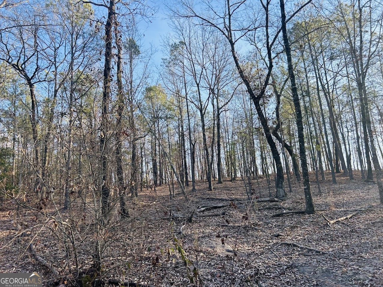 0 Bickley Road, Unit TRACT A Butler, GA 31006 - Photo 9 of 47 a backyard of a house with lots of green space
