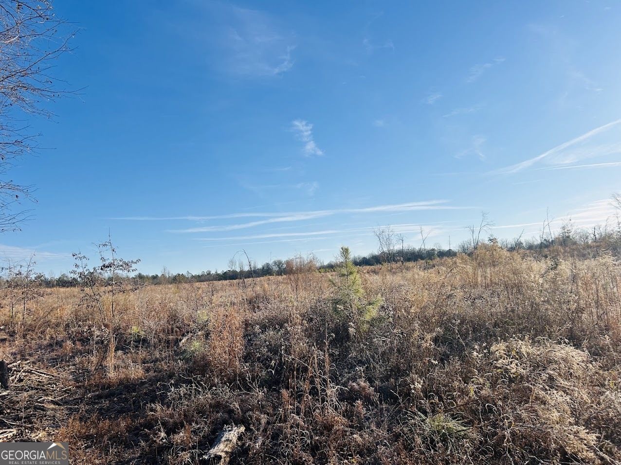0 Bickley Road, Unit TRACT A Butler, GA 31006 - Photo 10 of 47 a view of lake and mountain