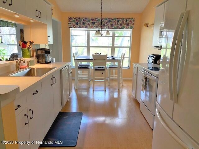 2110 Springmeadow Drive Spring Hill, FL 34606 - Photo 15 of 31 IMG_0895