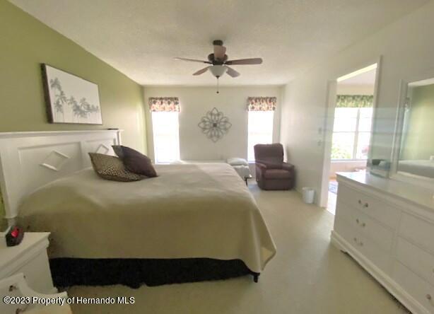 2110 Springmeadow Drive Spring Hill, FL 34606 - Photo 23 of 31 IMG_0885