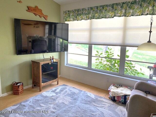 2110 Springmeadow Drive Spring Hill, FL 34606 - Photo 10 of 31 IMG_0878