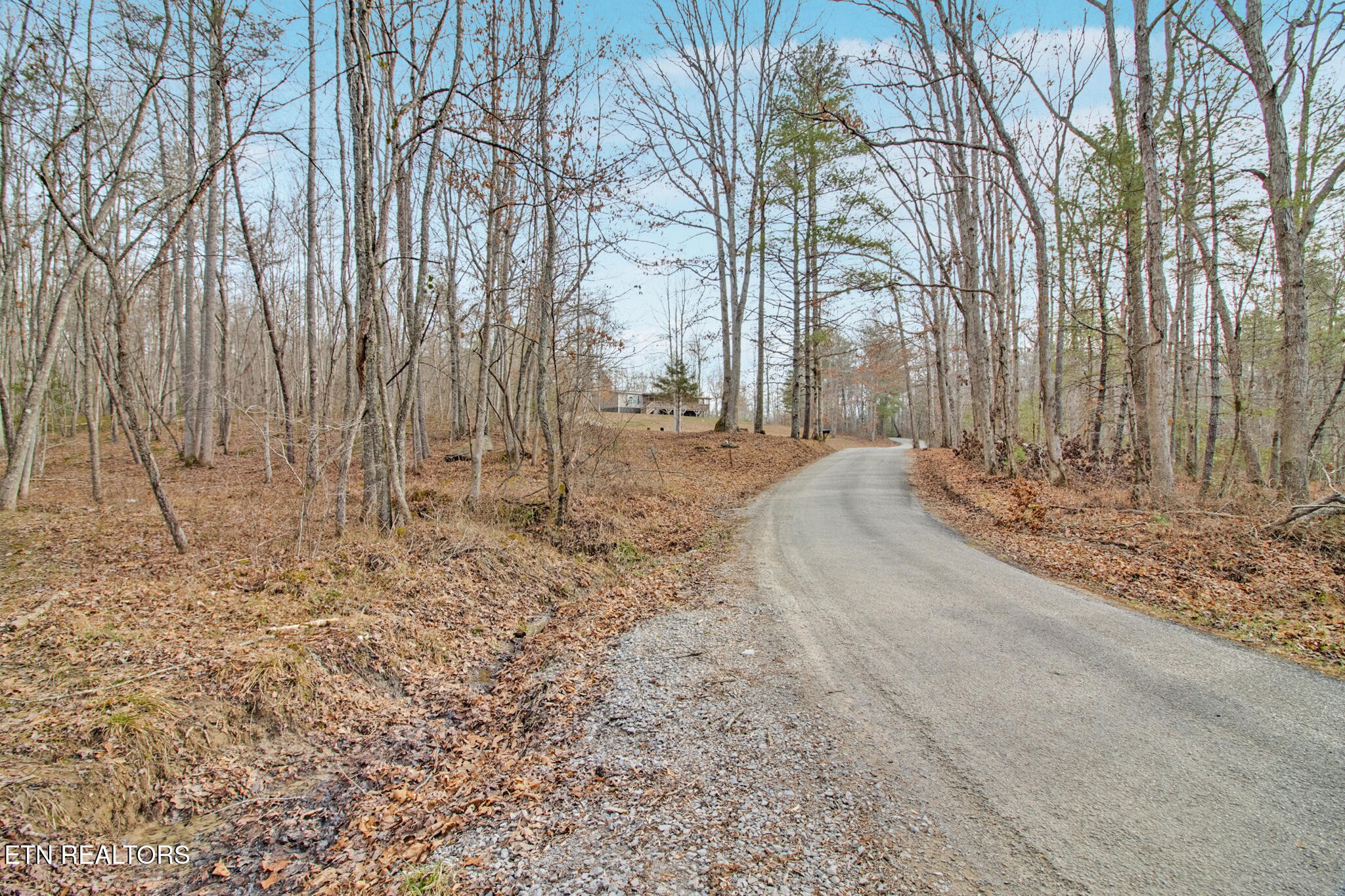 117 Hensley Road Deer Lodge, TN 37726 - Photo 20 of 23 Gallery Image 20