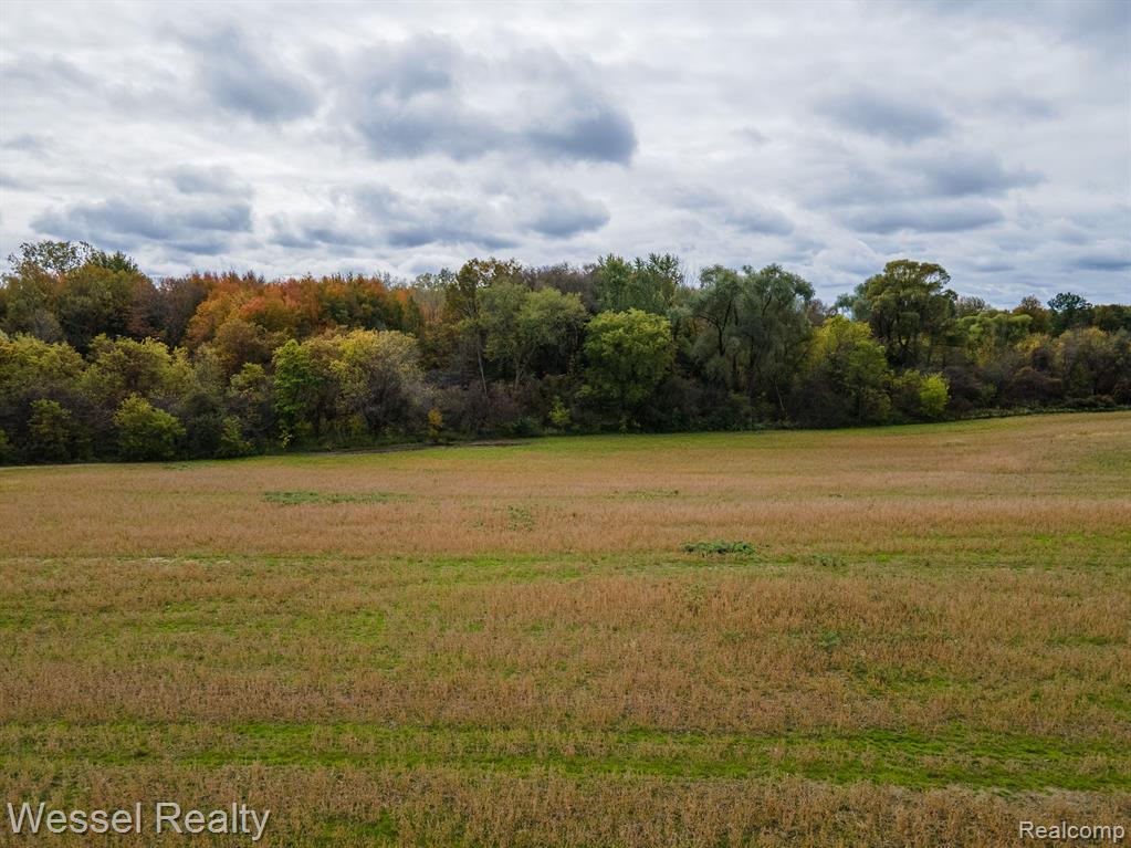 7 Lambs Road Goodells, MI 48027 - Photo 3 of 3