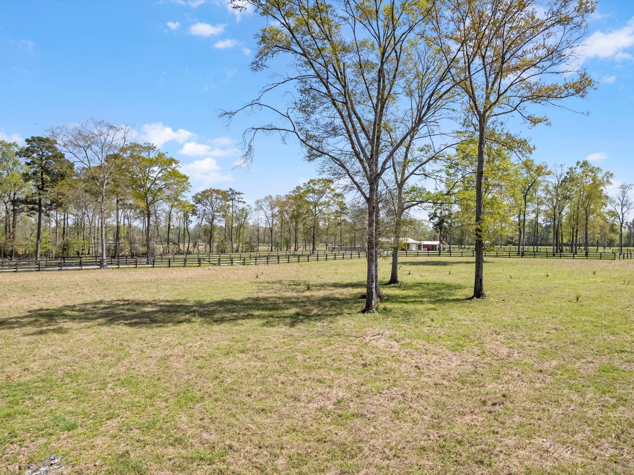 1164 County Road 332 Cleveland, TX 77327 - Photo 17 of 24 a view of a yard with a tree