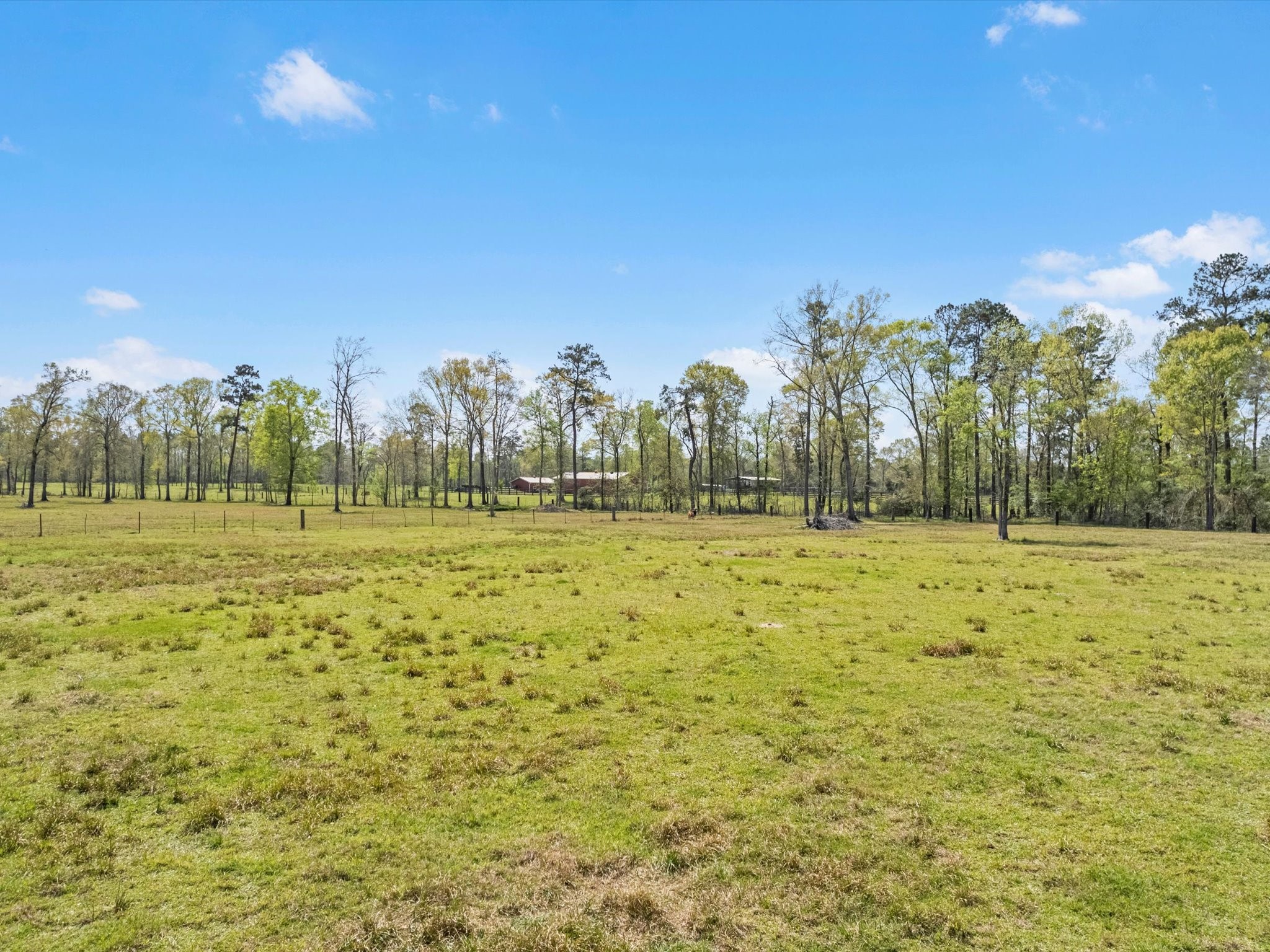 1164 County Road 332 Cleveland, TX 77327 - Photo 24 of 24 a view of a field with trees in the background