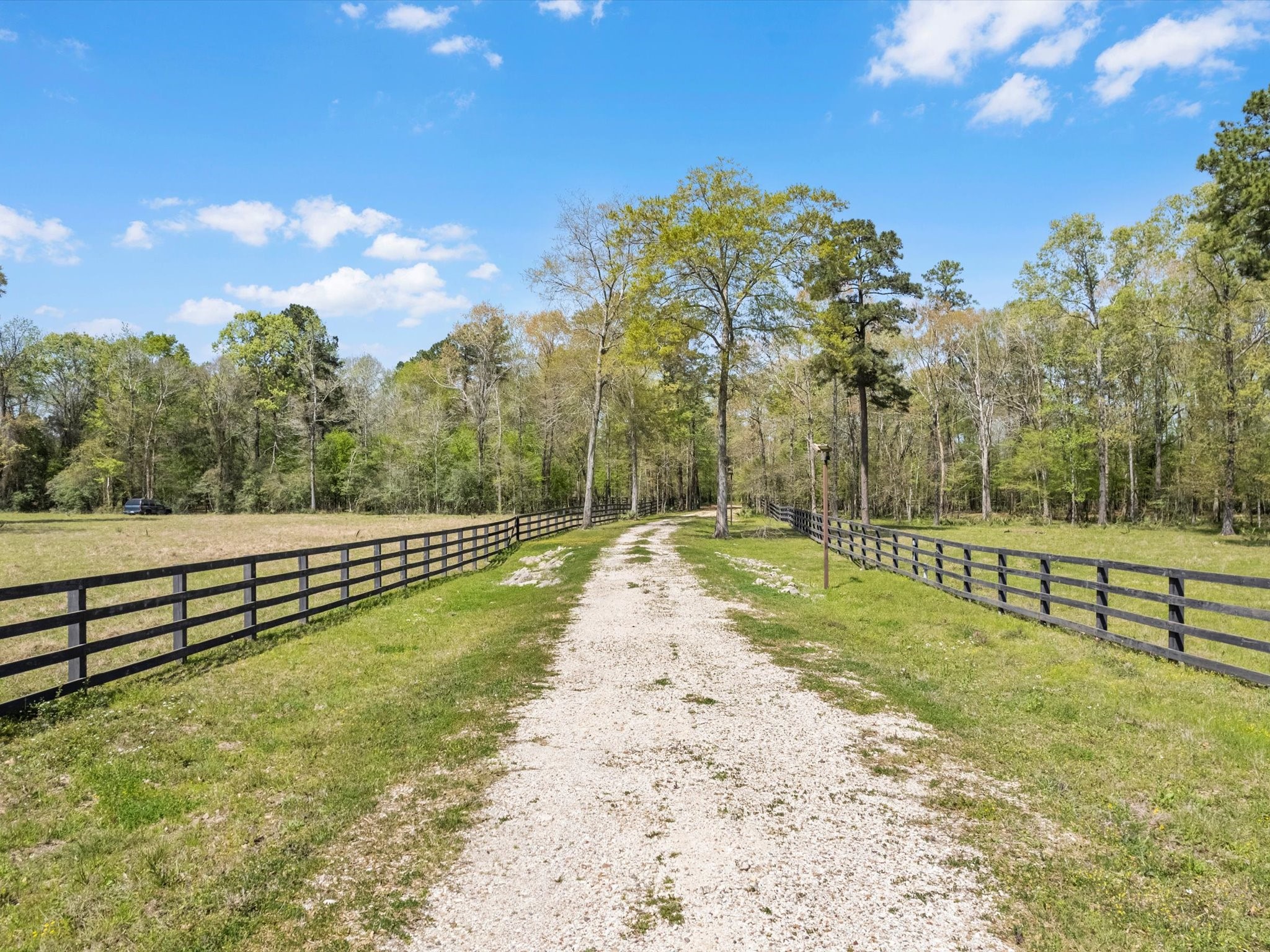 1164 County Road 332 Cleveland, TX 77327 - Photo 6 of 24 a view of a yard with wooden fence