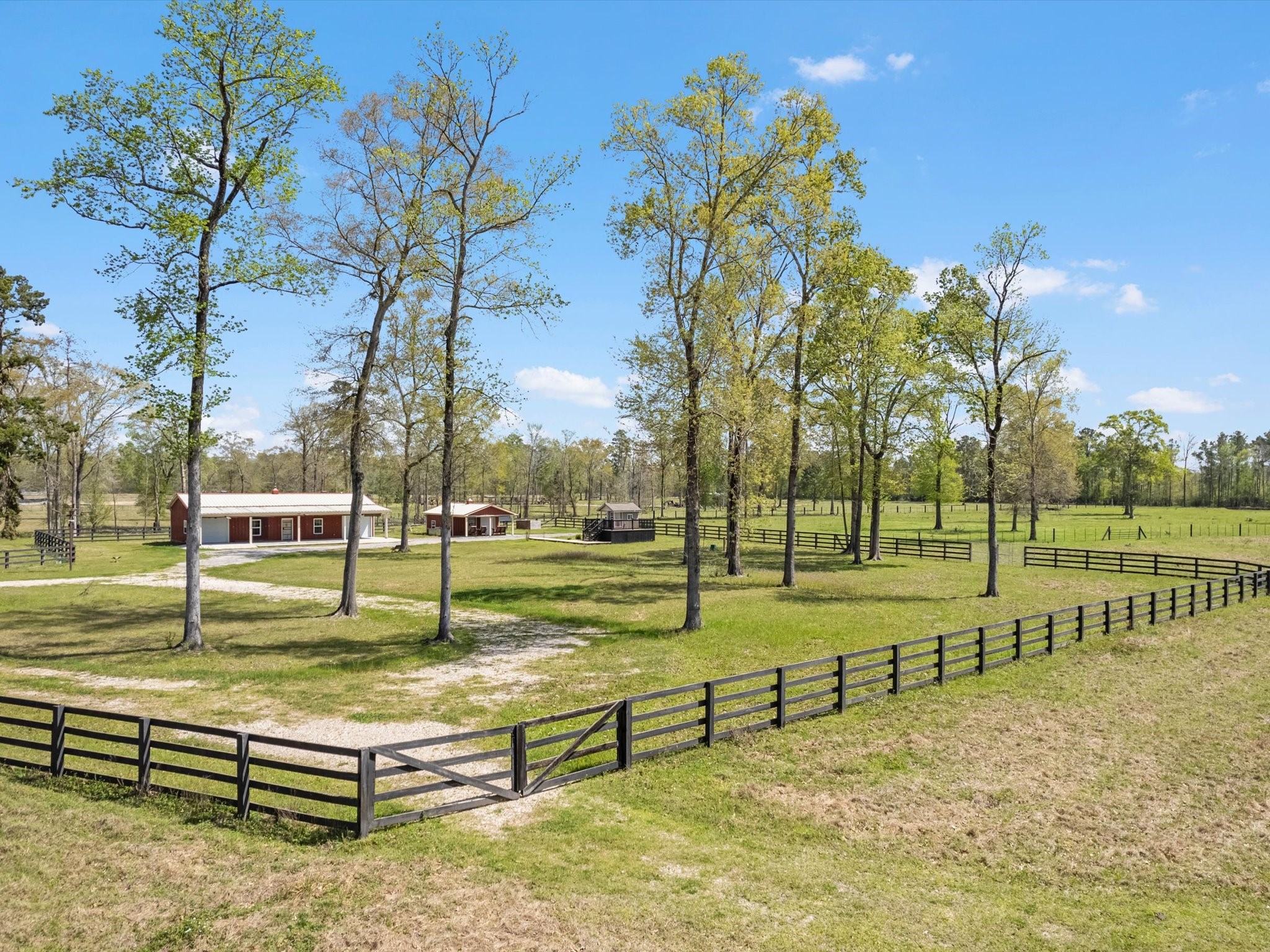 1164 County Road 332 Cleveland, TX 77327 - Photo 7 of 24 a view of a park with large trees