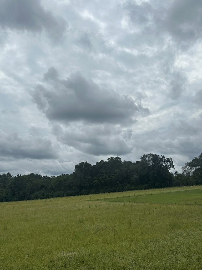 Lot 1 Hadden Road Dothan, AL 36301 - Photo 7 of 8